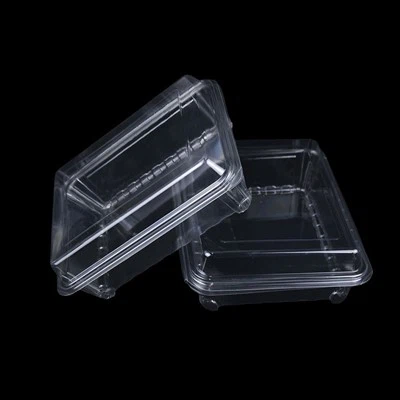 ڈسپوزایبل پیکیجنگ باکس